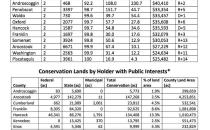PAWS Visits Calais Free Library