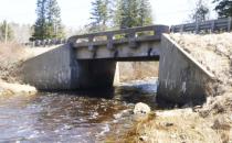 Pembroke Independence Day Celebration