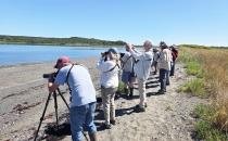 Snowy Owl Rescued Locally Released After Recovery